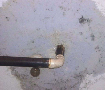 海棠卫生间防水哪家好