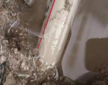 海棠水管维修多少钱