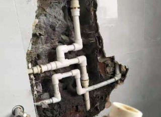 海棠卫生间测漏水价格多少