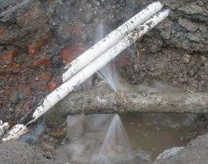 海棠水管维修费用是多少