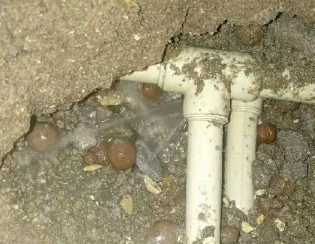 海棠卫生间测漏