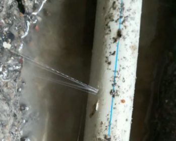 海棠卫生间测漏水多少钱