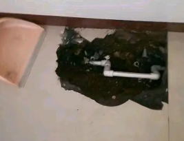 海棠卫生间测漏水多少钱
