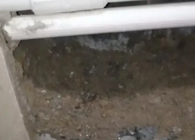 海棠卫生间测漏水多少钱