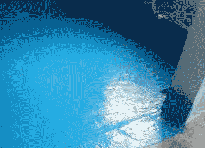 海棠卫生间防水